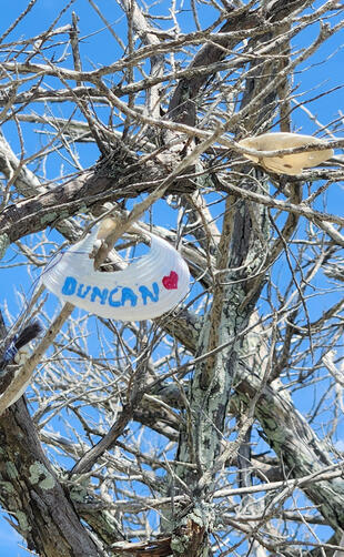 The Wishing Tree A special wishing tree with a scarf that says Duncan.